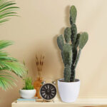 GloboStar® Artificial Garden OPUNTIA FICUS-INDICA CACTUS 20096 Τεχνητό Διακοσμητικό Φυτό Κάκτος Φραγκοσυκιά Υ60cm - Image 6