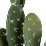 GloboStar® Artificial Garden OPUNTIA FICUS-INDICA CACTUS 20096 Τεχνητό Διακοσμητικό Φυτό Κάκτος Φραγκοσυκιά Υ60cm - Image 3