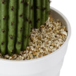 GloboStar® Artificial Garden CARNEGIEA CACTUS 20100 Τεχνητό Διακοσμητικό Φυτό Κάκτος Σαγκουάρο Υ63cm - Image 5