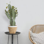 GloboStar® Artificial Garden CEREUS JAMACARU CACTUS 20102 Τεχνητό Διακοσμητικό Φυτό Κάκτος Κηρίος Υ62cm - Image 6