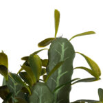 GloboStar® Artificial Garden CEREUS JAMACARU CACTUS 20102 Τεχνητό Διακοσμητικό Φυτό Κάκτος Κηρίος Υ62cm - Image 3