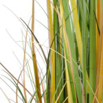 GloboStar® Artificial Garden PAMPAS GRASS 20108 Τεχνητό Διακοσμητικό Φυτό Γρασίδι της Πάμπας Υ150cm - Image 4