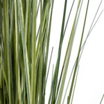 GloboStar® Artificial Garden LAGURUS GRASS 20111 Τεχνητό Διακοσμητικό Φυτό Λαγοουρά Υ150cm - Image 4