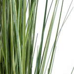GloboStar® Artificial Garden CRASPEDIA GRASS 20112 Τεχνητό Διακοσμητικό Φυτό Κρασπέδια Υ150cm - Image 4