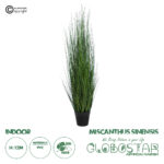 GloboStar® Artificial Garden MISCANTHUS SINENSIS 20116 Τεχνητό Διακοσμητικό Φυτό Μίσχανθος Υ120cm