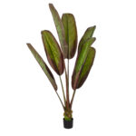 GloboStar® Artificial Garden BLOODY BANANA TREE 20118 - Τεχνητό Διακοσμητικό Φυτό Αιματόφυλλη Μπανανιά - Μπανανόδεντρο Υ190cm - Image 2
