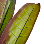 GloboStar® Artificial Garden BLOODY BANANA TREE 20118 - Τεχνητό Διακοσμητικό Φυτό Αιματόφυλλη Μπανανιά - Μπανανόδεντρο Υ190cm - Image 3