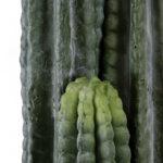 GloboStar® Artificial Garden CARNEGIEA CACTUS 20122 Τεχνητό Διακοσμητικό Φυτό Κάκτος Σαγκουάρο Υ150cm - Image 3