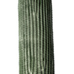 GloboStar® Artificial Garden CARNEGIEA CACTUS 20126 Τεχνητό Διακοσμητικό Φυτό Κάκτος Σαγκουάρο Υ100cm - Image 3