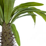 GloboStar® Artificial Garden PACHYPODIUM LAMEREI PALM TREE 20129 Τεχνητό Διακοσμητικό Φυτό Φοίνικας της Μαγαδασκάρης Υ105cm - Image 3