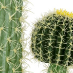 GloboStar® Artificial Garden CARNEGIEA CACTUS 20134 Τεχνητό Διακοσμητικό Φυτό Κάκτος Σαγκουάρο Υ150cm - Image 4