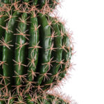 GloboStar® Artificial Garden FEROCACTUS 20138 Τεχνητό Διακοσμητικό Φυτό Φερόκακτος Υ95cm - Image 3