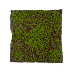 GloboStar® Artificial Garden BRYOPHYTA 20143 Τεχνητό Διακοσμητικό Πάνελ Φυλλωσιάς - Κάθετος Κήπος Βρύα Μ100 x Π100 x Υ5cm - Image 2