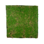 GloboStar® Artificial Garden BRYOPHYTA 20144 Τεχνητό Διακοσμητικό Πάνελ Φυλλωσιάς - Κάθετος Κήπος Βρύα Μ100 x Π100 x Υ3cm - Image 2