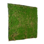 GloboStar® Artificial Garden BRYOPHYTA 20144 Τεχνητό Διακοσμητικό Πάνελ Φυλλωσιάς - Κάθετος Κήπος Βρύα Μ100 x Π100 x Υ3cm - Image 4