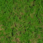 GloboStar® Artificial Garden BRYOPHYTA 20144 Τεχνητό Διακοσμητικό Πάνελ Φυλλωσιάς - Κάθετος Κήπος Βρύα Μ100 x Π100 x Υ3cm - Image 5