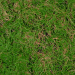 GloboStar® Artificial Garden BRYOPHYTA 20144 Τεχνητό Διακοσμητικό Πάνελ Φυλλωσιάς - Κάθετος Κήπος Βρύα Μ100 x Π100 x Υ3cm - Image 6