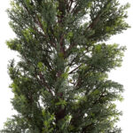 GloboStar® Artificial Garden LEMON CYPRESS 20152 Τεχνητό Διακοσμητικό Φυτό Λεμονόκυπάρισσο Υ150cm - Image 4