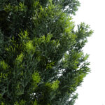 GloboStar® Artificial Garden CYPRESSUS LEYLANDII 20154 Τεχνητό Διακοσμητικό Φυτό Κυπαρίσσι Λέιλαντ Υ120cm - Image 3