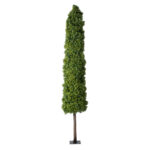 GloboStar® Artificial Garden BUXUS 20158 Τεχνητό Διακοσμητικό Φυτό Πυξός Υ250cm - Image 2