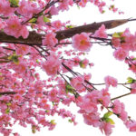 GloboStar® Artificial Garden PEACH BLOSSOM TREE 20159 Τεχνητό Διακοσμητικό Δέντρο Ανθισμένη Ροδακινιά Υ340cm - Image 3