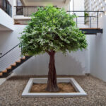 GloboStar® Artificial Garden BANYAN FICUS TREE 20160 Τεχνητό Διακοσμητικό Δέντρο Ινδική Συκιά Φίκος Υ340cm - Image 5