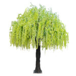GloboStar® Artificial Garden LABURNUM TREE 20165 Τεχνητό Διακοσμητικό Δέντρο Λαβούρνο Υ340cm - Image 2