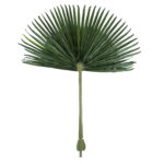 GloboStar® Artificial Garden WASHINGTONIA FILIFERA PALM LEAF 20171 Τεχνητό Διακοσμητικό Φύλο Φοινικόδεντρου Βεντάλια Π170 x Υ200cm - Image 2