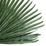 GloboStar® Artificial Garden WASHINGTONIA FILIFERA PALM LEAF 20171 Τεχνητό Διακοσμητικό Φύλο Φοινικόδεντρου Βεντάλια Π170 x Υ200cm - Image 3