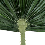 GloboStar® Artificial Garden WASHINGTONIA FILIFERA PALM LEAF 20171 Τεχνητό Διακοσμητικό Φύλο Φοινικόδεντρου Βεντάλια Π170 x Υ200cm - Image 4