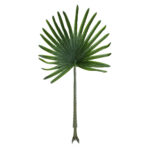 GloboStar® Artificial Garden SERENOA PALM LEAF 20174 Τεχνητό Διακοσμητικό Φύλο Φοινικόδεντρου Σερενόα Βεντάλια Π90 x Υ170cm - Image 2