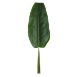 GloboStar® Artificial Garden BANANA TREE LEAF 20177 - Τεχνητό Διακοσμητικό Φύλο Μπανανιάς - Μπανανόδεντρου Π30 x Υ100cm - Image 2