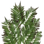 GloboStar® Artificial Garden ALSOPHILA FERN LEAF 20178 Τεχνητό Διακοσμητικό Φύλο Φτέρης Π60 x Υ180cm - Image 3