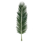 GloboStar® Artificial Garden ARECA PALM LEAF 20182 - Τεχνητό Διακοσμητικό Φύλο Φοινικόδεντρου Αρέκα Π95 x Υ280cm - Image 2