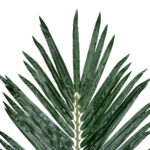 GloboStar® Artificial Garden ARECA PALM LEAF 20182 - Τεχνητό Διακοσμητικό Φύλο Φοινικόδεντρου Αρέκα Π95 x Υ280cm - Image 3