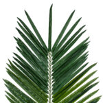 GloboStar® Artificial Garden ARECA PALM LEAF 20183 - Τεχνητό Διακοσμητικό Φύλο Φοινικόδεντρου Αρέκα Π95 x Υ320cm - Image 3