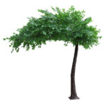 GloboStar® Artificial Garden BANYAN FICUS TREE 20186 Τεχνητό Διακοσμητικό Δέντρο Ινδική Συκιά Φίκος Υ320cm - Image 2