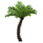 GloboStar® Artificial Garden PHOENIX ROEBELENII PALM TREE 20188 Τεχνητό Διακοσμητικό Φυτό Φοινικόδεντρο Ρομπελίνι Εξωτερικού Χώρου IP68 UV Certified Protection Υ400cm - Image 2