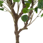 GloboStar® Artificial Garden EUCALYPTUS 20190 Τεχνητό Διακοσμητικό Φυτό Ευκάλυπτος Υ120cm - Image 4