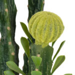 GloboStar® Artificial Garden CEREUS JAMACARU CACTUS 20193 Τεχνητό Διακοσμητικό Φυτό Κάκτος Κηρίος Υ120cm - Image 3