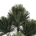 GloboStar® Artificial Garden PINUS MASSONIANA BRANCH 20219 Τεχνητό Διακοσμητικό Κλαδί Πεύκου Π50 x Υ70cm - Image 3