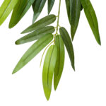 GloboStar® Artificial Garden BAMBOO BRANCH 20228 10 x Τεχνητά Διακοσμητικά Κλαδία Μπαμπού Π50 x Υ60cm - Image 5