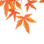 GloboStar® Artificial Garden MAPLE BRANCH 20230 10 x Τεχνητά Διακοσμητικά Κλαδία Σφένδαμου Π55 x Υ60cm - Image 5