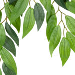 GloboStar® Artificial Garden LAUREL BRANCH 20231 10 x Τεχνητά Διακοσμητικά Κλαδία Δάφνης Π50 x Υ65cm - Image 4