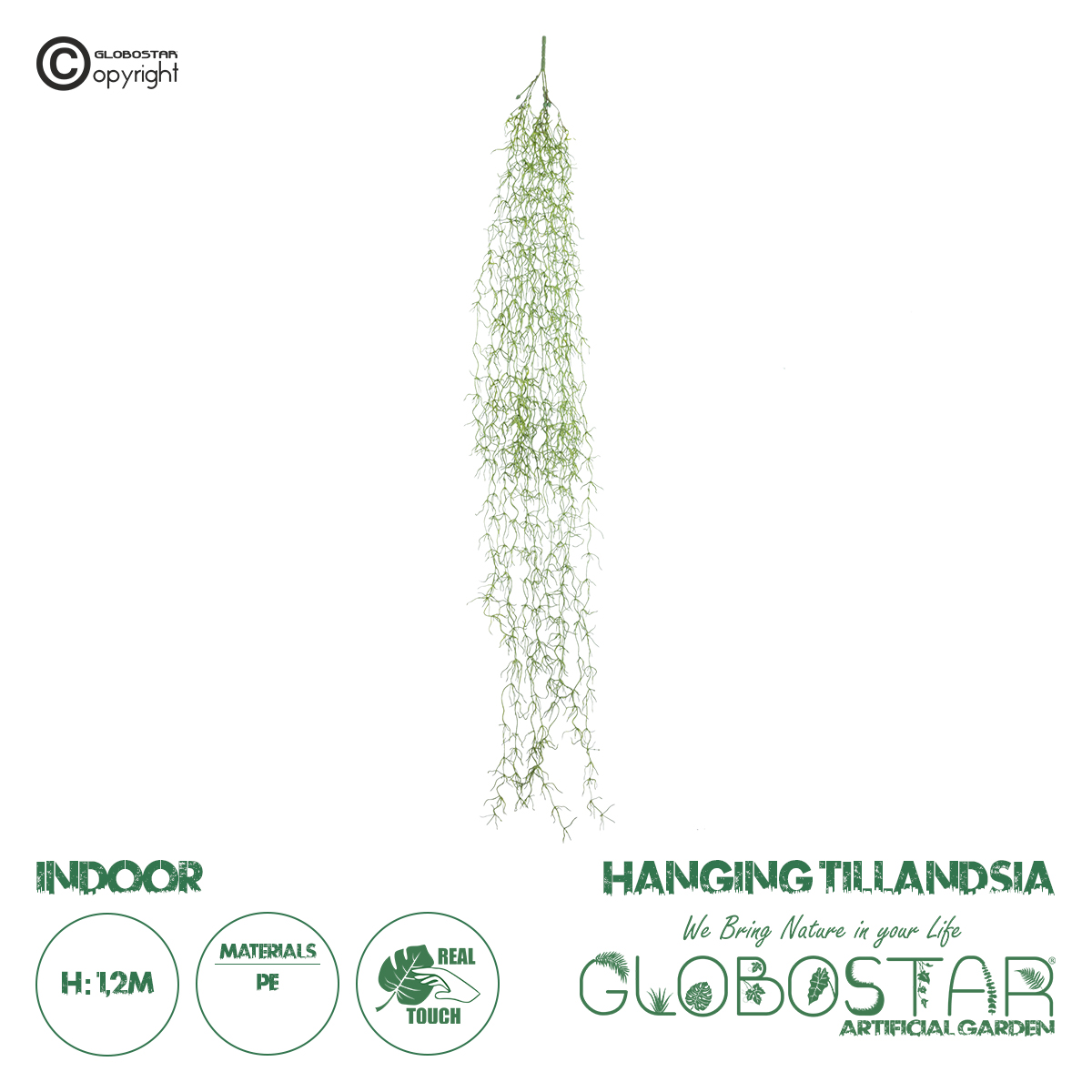 20236_01 GloboStar® Artificial Garden TILLANDSIA HANGING BRANCH 20236 Τεχνητό Διακοσμητικό Κρεμαστό Φυτό Ισπανικό Βρύο Τιλάντσια Υ120cm - Image 1