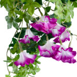 GloboStar® Artificial Garden MORNING GLORY HANGING BRANCH 20238 Τεχνητό Διακοσμητικό Κρεμαστό Φυτό Ιπομέα - Πρωϊνή Χαρά Υ60cm - Image 3