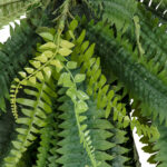 GloboStar® Artificial Garden FERN HANGING BRANCH 20247 Τεχνητό Διακοσμητικό Κρεμαστό Φυτό Φτέρη Υ120cm - Image 3