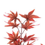 GloboStar® Artificial Garden MAPLE BRANCH 20263 Τεχνητό Διακοσμητικό Κλαδί Σφένδαμου Π25 x Υ90cm - Image 3