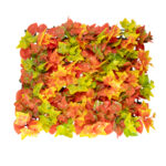 GloboStar® Artificial Garden AUTUMN MAPLE 20349 Τεχνητό Διακοσμητικό Πάνελ Φυλλωσιάς - Κάθετος Κήπος σύνθεση Φθινοπωρινός Σφένδαμος Μ50 x Π50 x Υ10cm - Image 4