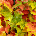 GloboStar® Artificial Garden AUTUMN MAPLE 20349 Τεχνητό Διακοσμητικό Πάνελ Φυλλωσιάς - Κάθετος Κήπος σύνθεση Φθινοπωρινός Σφένδαμος Μ50 x Π50 x Υ10cm - Image 6